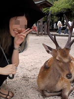 �{���f�[�g